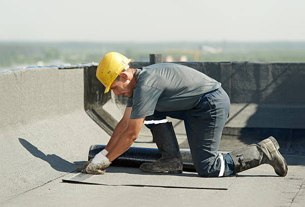 Best Insulation Materials and Products in Asbury Lake, FL