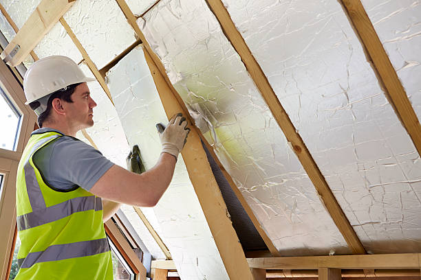 Best Insulation Installation Services in Asbury Lake, FL